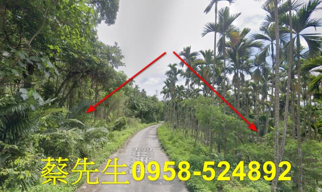 花蓮萬榮農地法拍-13