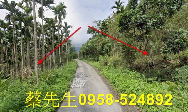 花蓮萬榮農地法拍-15