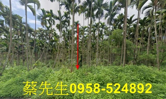 花蓮萬榮農地法拍-2