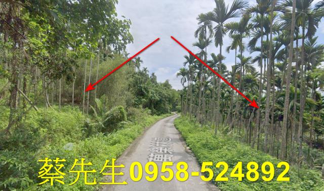 花蓮萬榮農地法拍-6