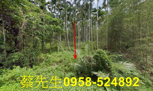 花蓮萬榮農地法拍-9