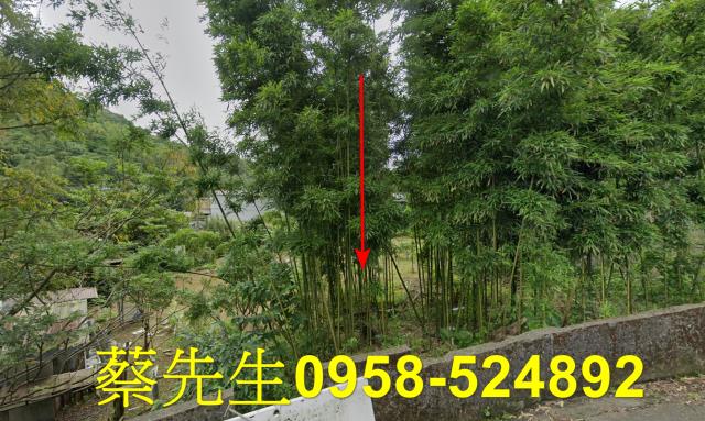 台北南港休閒地法拍-9