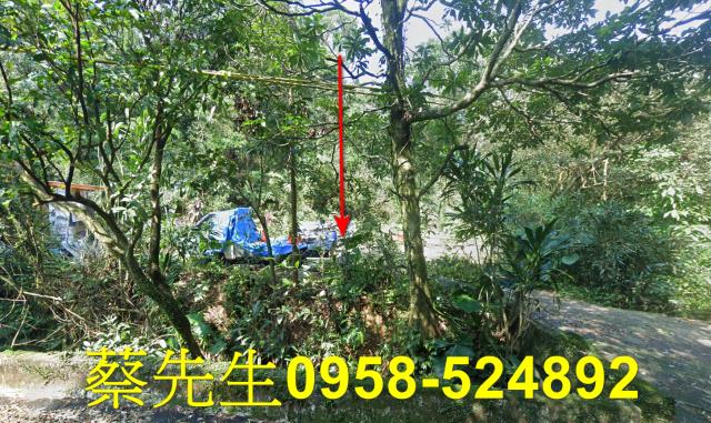 萬里農地法拍-1