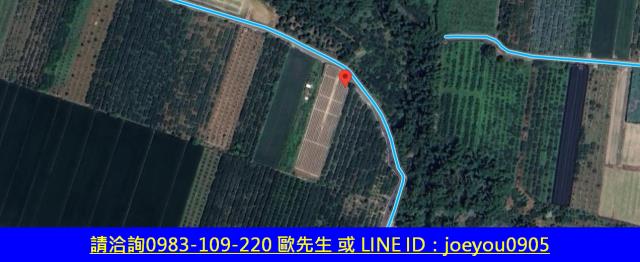 斗六法拍農地-15