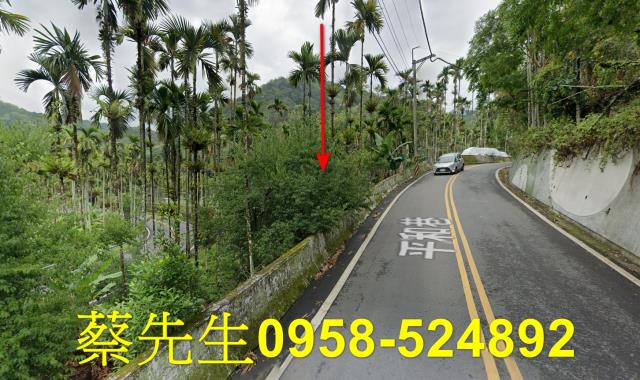魚池法拍農地-14