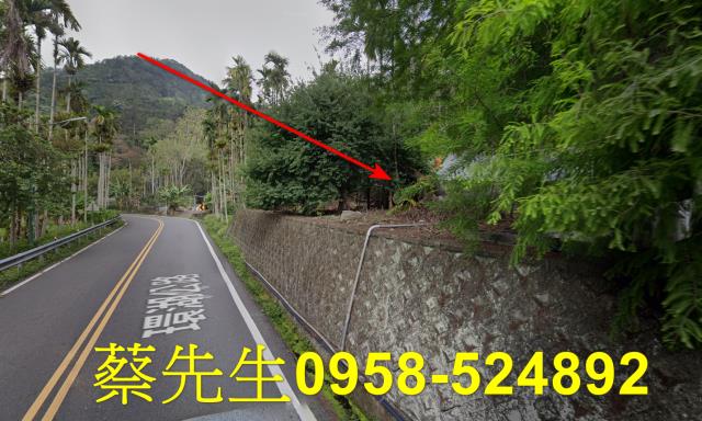 魚池法拍農地-4