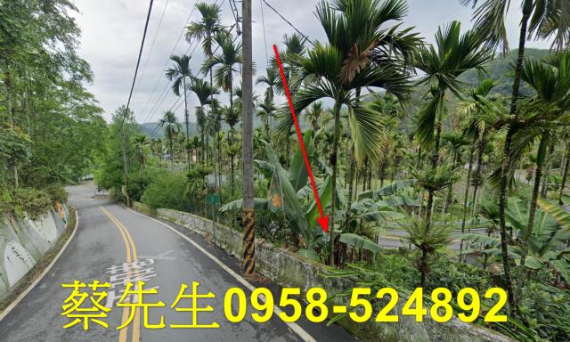 魚池法拍農地-7