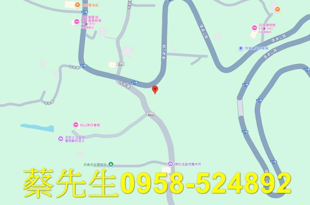 魚池法拍農地-8