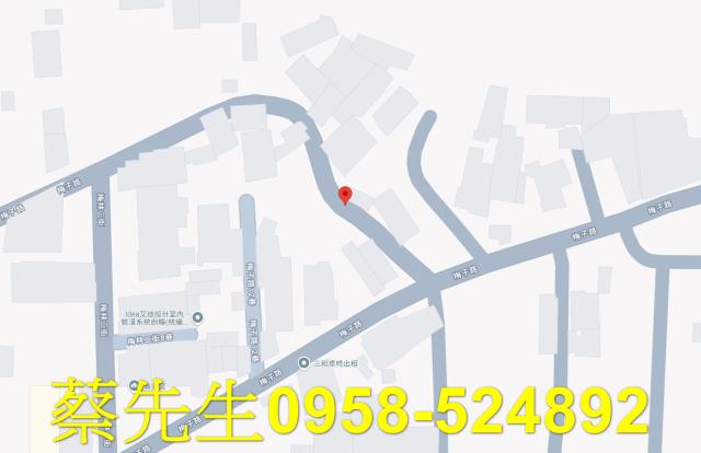 埔里住宅地拍賣-8