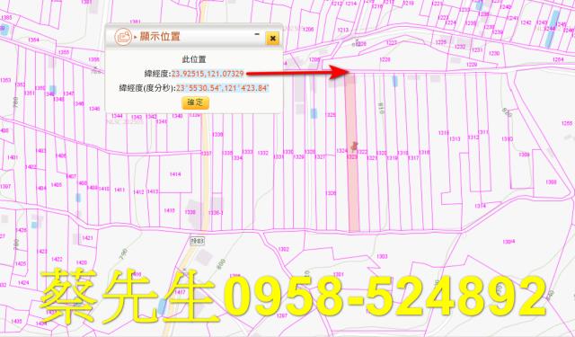 仁愛鄉農地法拍-10