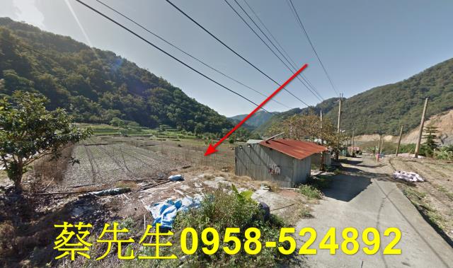 仁愛鄉農地法拍-13