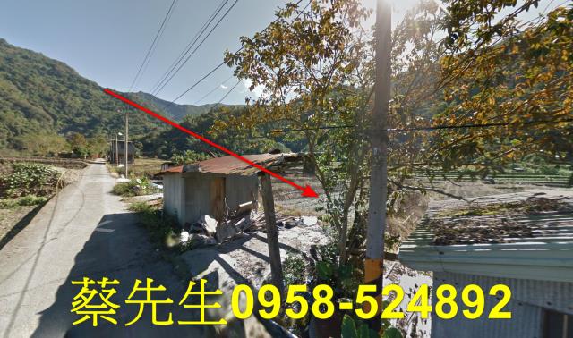 仁愛鄉農地法拍-14