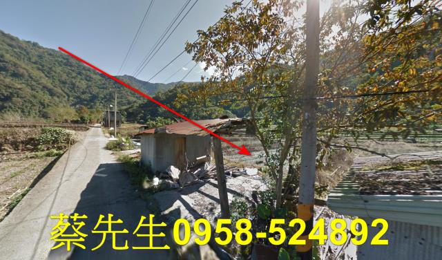 仁愛鄉農地法拍-15