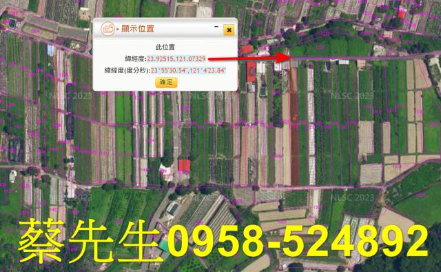 仁愛鄉農地法拍-3