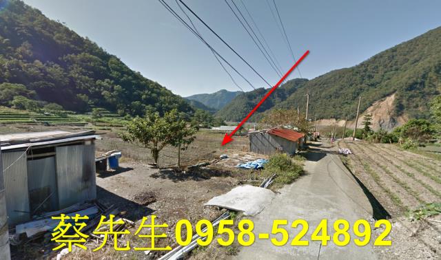 仁愛鄉農地法拍-4
