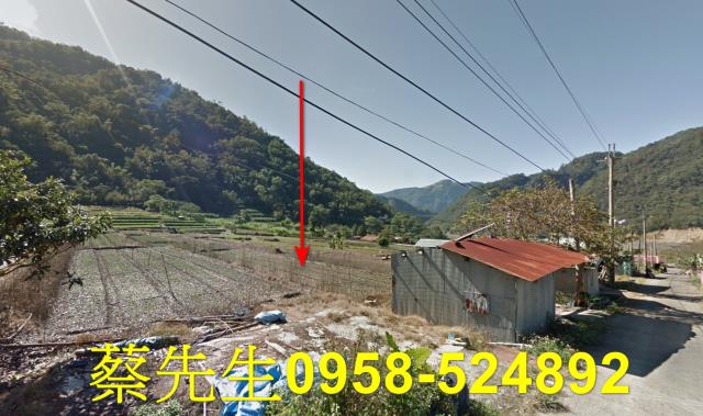 仁愛鄉農地法拍-9
