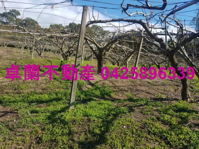 卓蘭農地-5