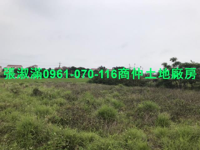 苗栗竹南工業地-6