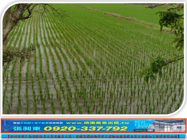 新屋農地-1