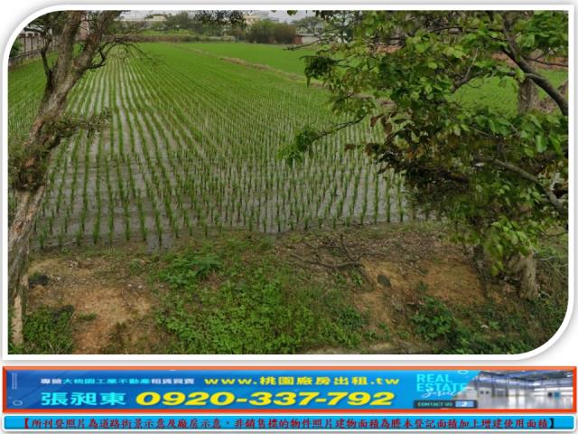 新屋農地-2