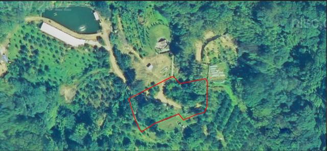 新埔建地法拍-2