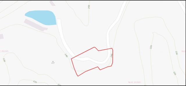 新埔建地法拍-8