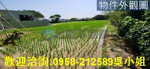 新竹農地-11