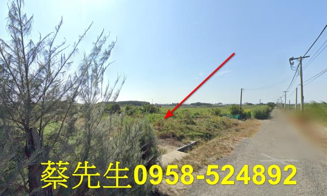 雲林台西農地法拍-13