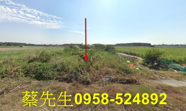 雲林台西農地法拍-9