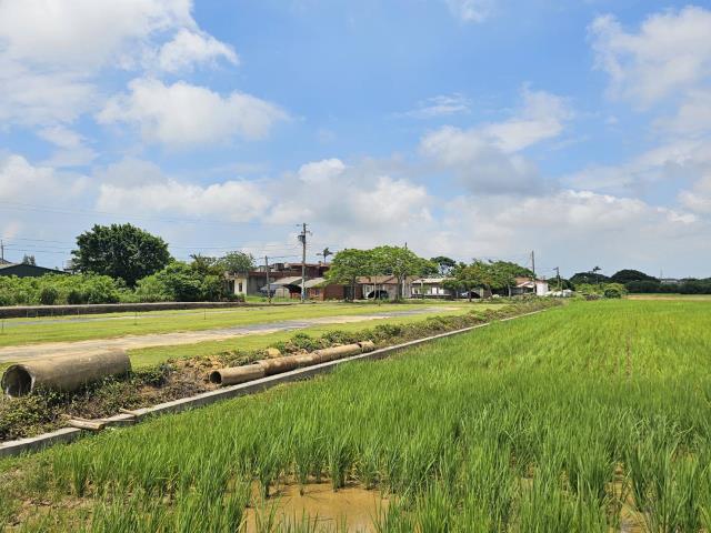 桃園觀音農地-1