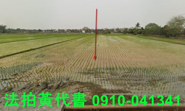雲林莿桐農地法拍-1