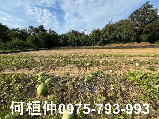 後龍農地-5