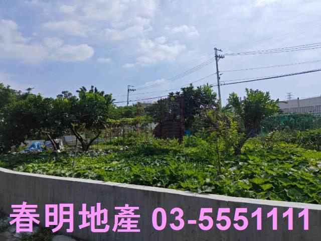 新竹東區保護地-3