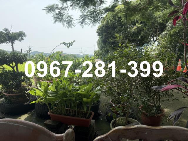 苗栗三灣農地-10