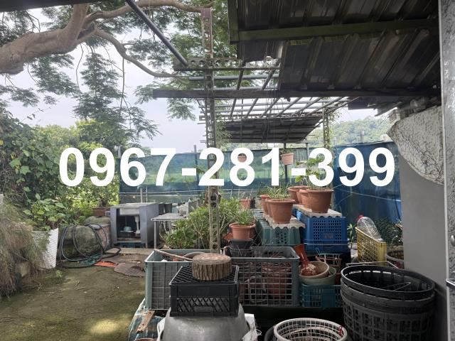 苗栗三灣農地-11