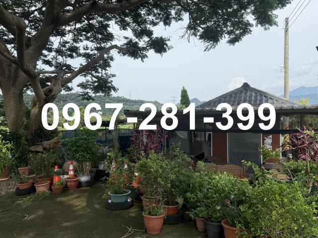 苗栗三灣農地-1