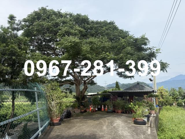 苗栗三灣農地-3