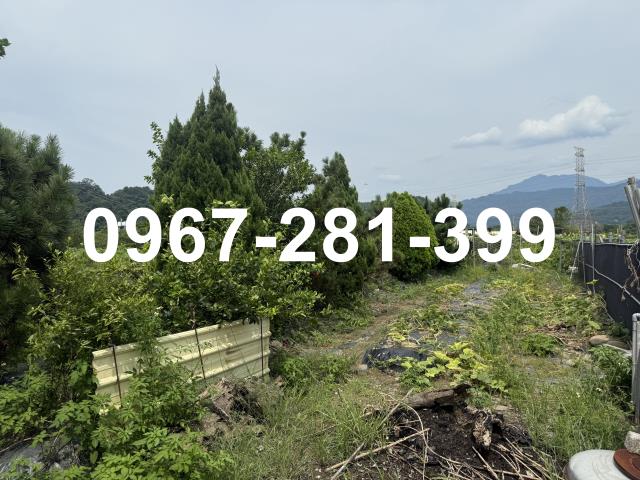 苗栗三灣農地-4