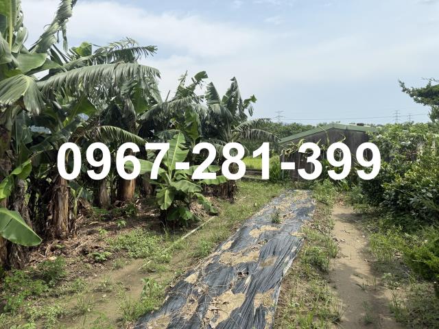 苗栗三灣農地-5