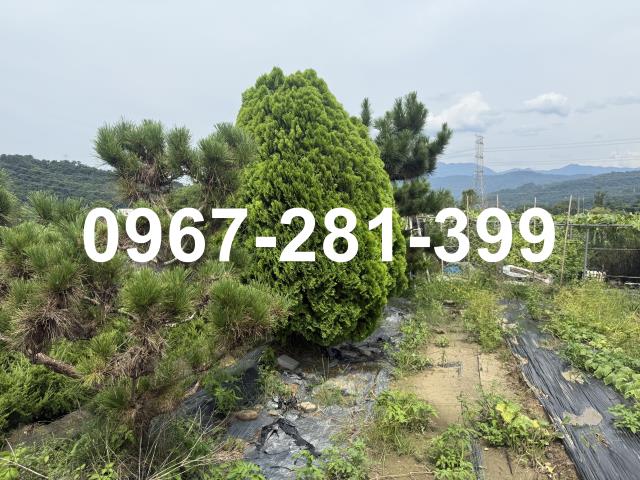 苗栗三灣農地-6