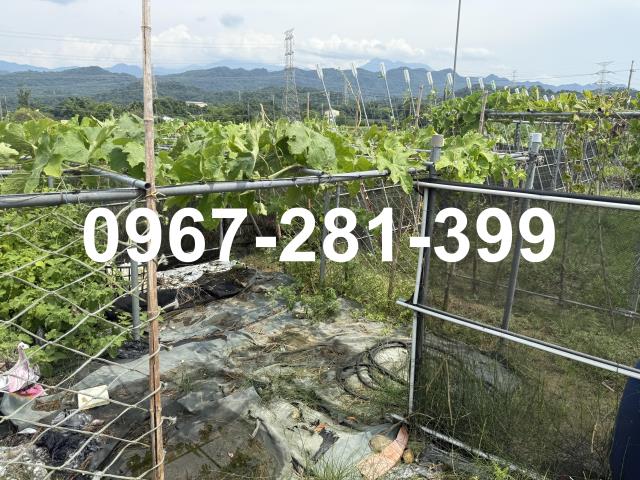 苗栗三灣農地-7