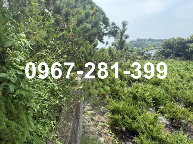 苗栗三灣農地-8