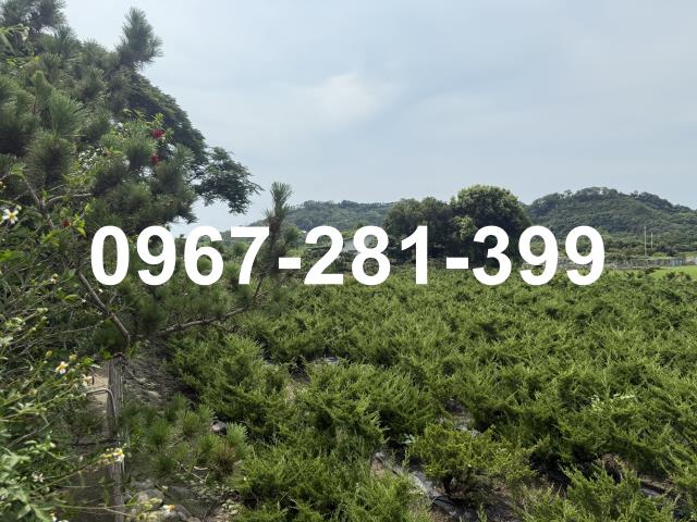 苗栗三灣農地-9