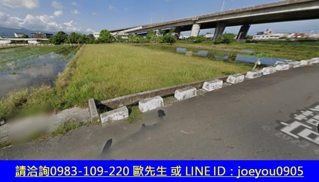 宜蘭市法拍農地-4