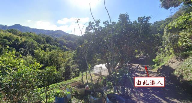 橫山農地法拍-1