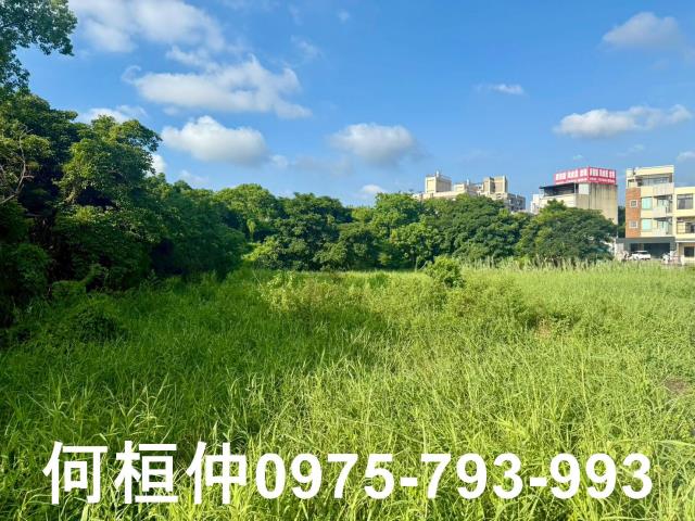 苗栗竹南農地-10