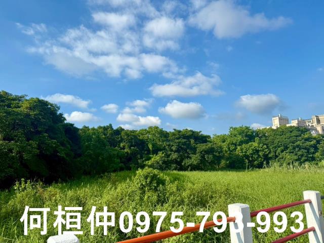 苗栗竹南農地-11