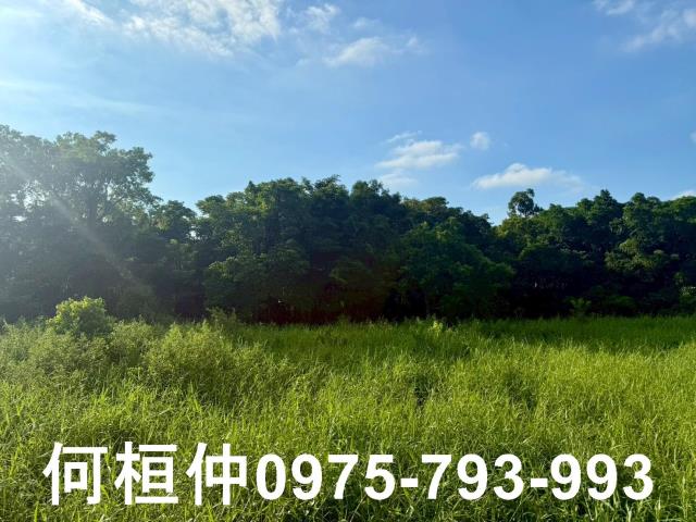 苗栗竹南農地-12