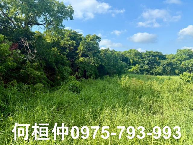 苗栗竹南農地-13