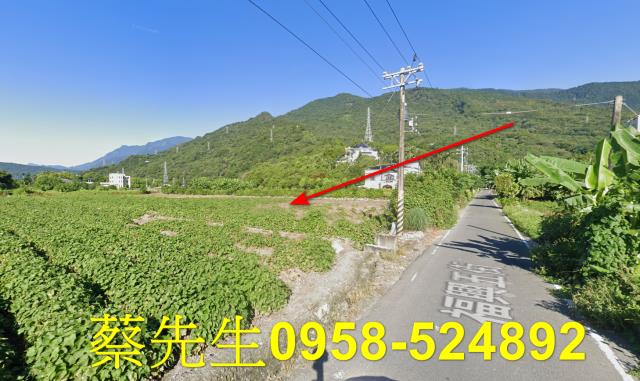 花蓮吉安農地法拍-15